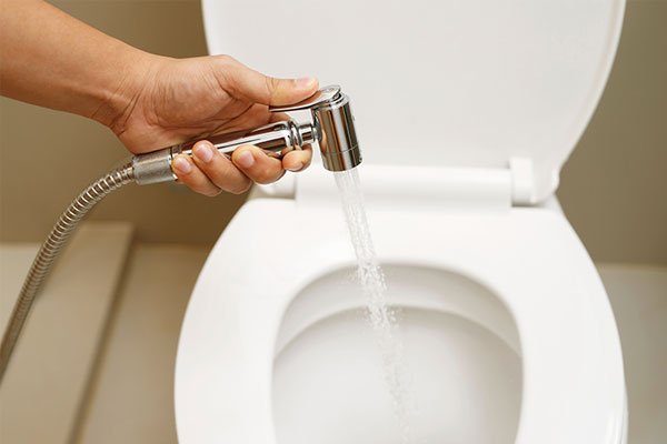 bident-spray-installation-sg